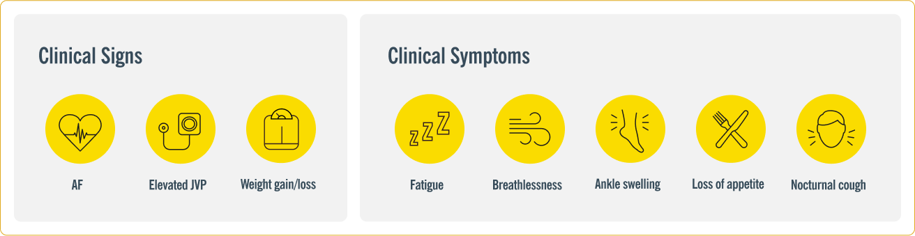 Infographic showing eight clinical signs and symptoms of heart failure: atrial fibrillation, elevated JVP, weight gain or loss, fatigue, breathlessness, ankle swelling, loss of appetite and nocturnal cough. Infographic showing eight clinical signs and symptoms of heart failure: atrial fibrillation, elevated JVP, weight gain or loss, fatigue, breathlessness, ankle swelling, loss of appetite and nocturnal cough.