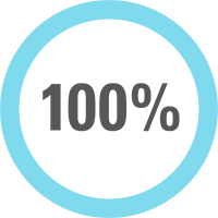 Pie chart with the figure 100%. Pie chart with the figure 100%.