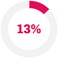 Pie chart with the figure 13%.