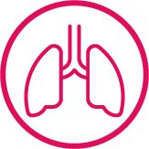 Lung icon.