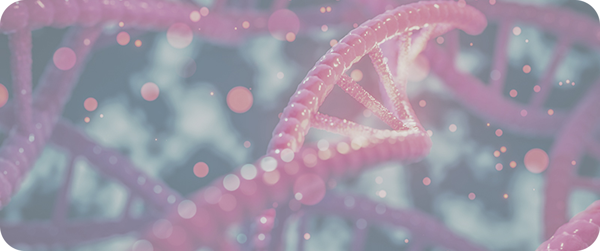 jakavi-module-2-large