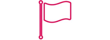 Icon of a flag to represent safety profile.