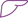 Icon to represent Hepatic impairment.
