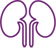 Icon of a pair of kidneys to represent Renal impairment.