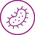 Icon representing parasitic infections.