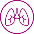 Icon of a pair of lungs.