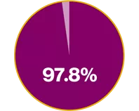 Pie chart showing the figure 97.8%.