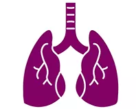Icon of a pair of lungs.