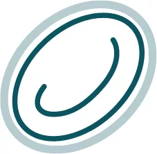 Icon of a normal red blood cell.