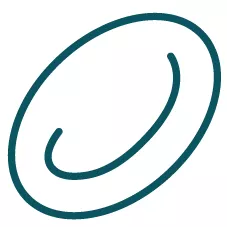 Icon of a red blood cell in PNH.