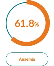 Box with the text Anaemia and a pie chart showing 61.8%.