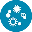 Icon representing infections.