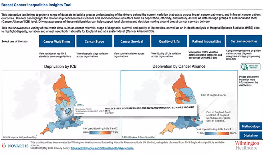 Preview image: The Novartis Breast Cancer Health Inequalities Tool.