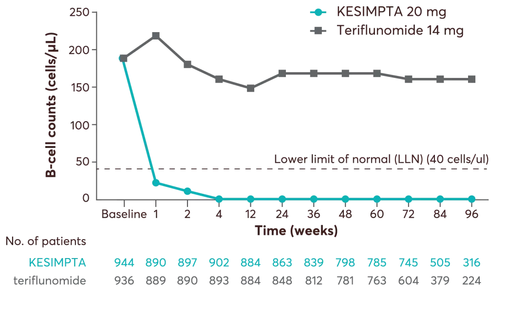 Graph showing B-cell depletion. Dosing period from ASCLEPIOS I and II (pooled analysis).