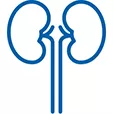 Icon of a pair of kidneys representing renal impairment.