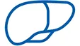 Icon of a liver representing hepatic impairment.
