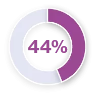 Pie chart with the figure 44%.