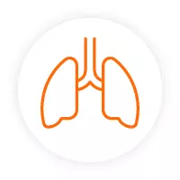 Icon of the lungs.
