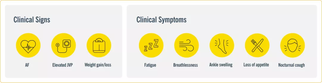 Infographic showing eight clinical signs and symptoms of heart failure: atrial fibrillation, elevated JVP, weight gain or loss, fatigue, breathlessness, ankle swelling, loss of appetite and nocturnal cough.