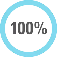 Pie chart with the figure 100%.