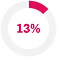 Pie chart with the figure 13%.