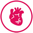 Icon of a heart