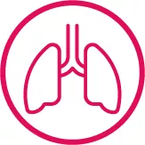Lung icon.