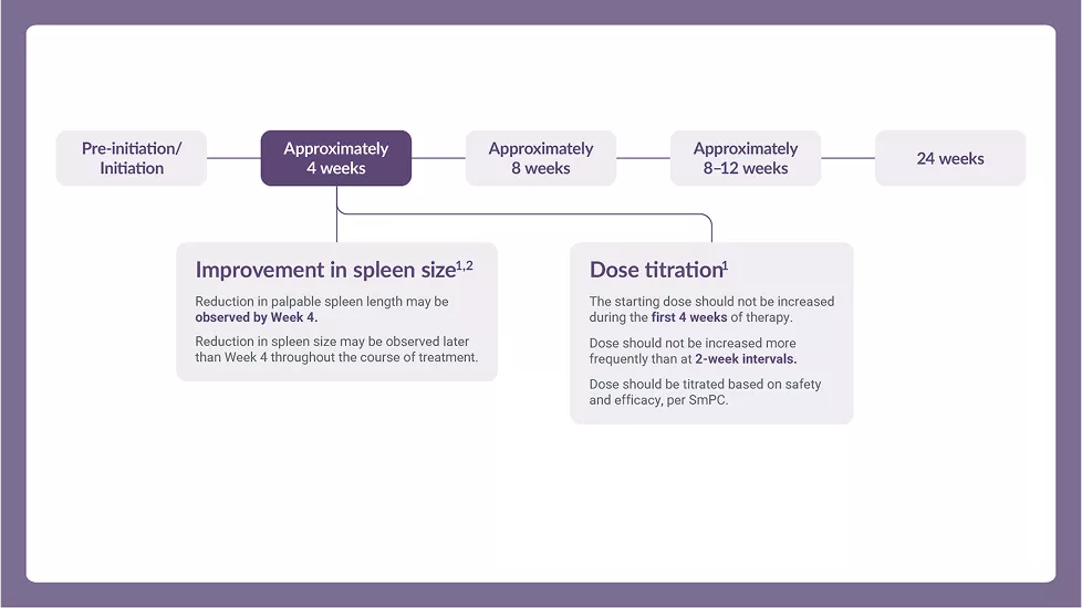  Slider graphics showing how to optimise response to therapy with dose titration based on safety and efficacy.