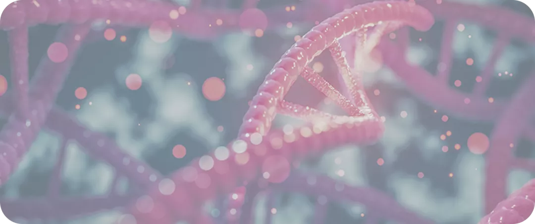 jakavi-module-2-large