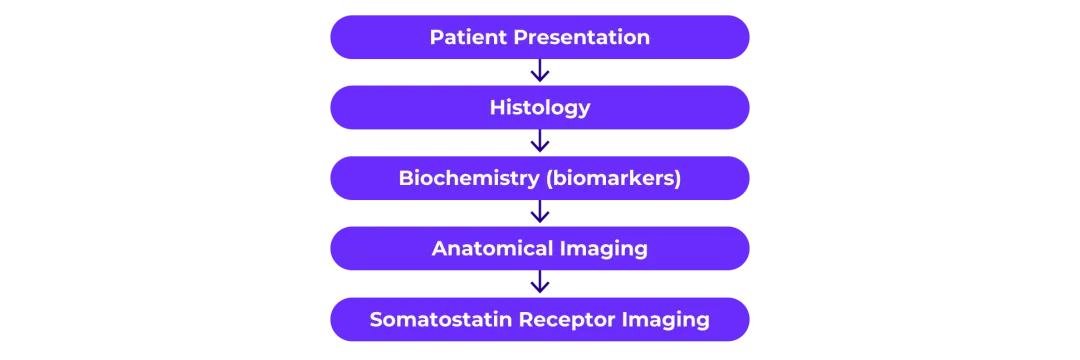 Diagnosis of NETs flow chart.