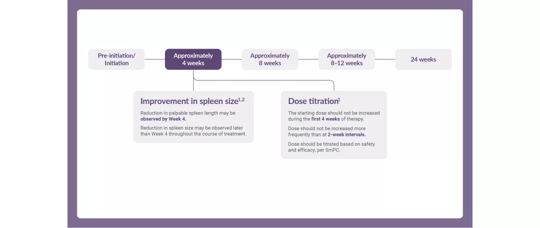  Slider graphics showing how to optimise response to therapy with dose titration based on safety and efficacy.