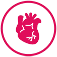 Icon of a heart.