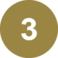 The number 3 in a gold circle.
