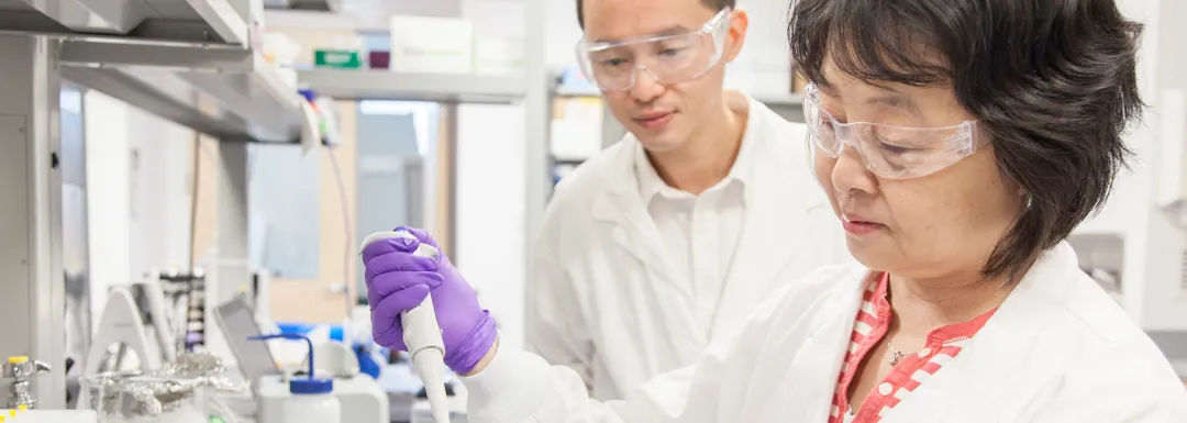 Top banner. Hero image.