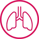 Icon of a pair of lungs.